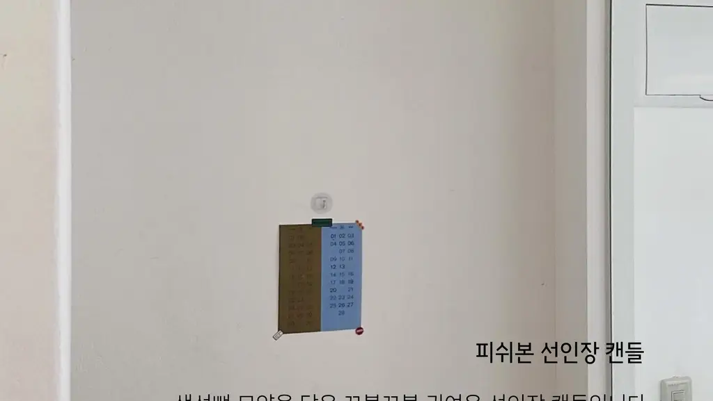 비현 피쉬본 선인장 캔들 7종 택1 상세페이지 4