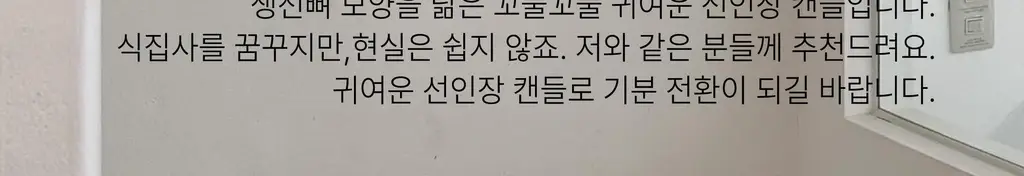 비현 피쉬본 선인장 캔들 7종 택1 상세페이지 5