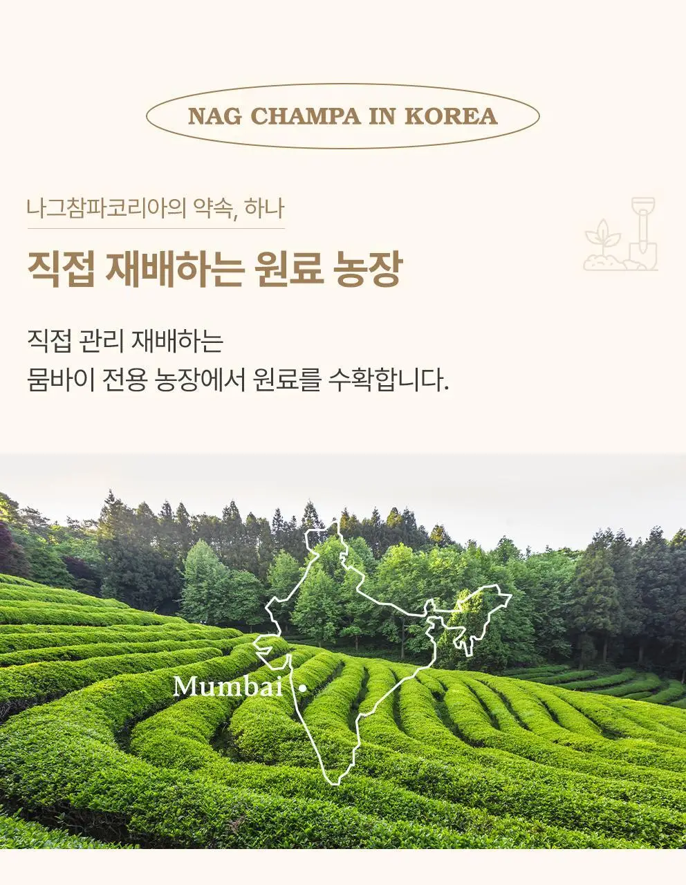 사티아 나그참파 인센스 콘 12개입 상세페이지 30