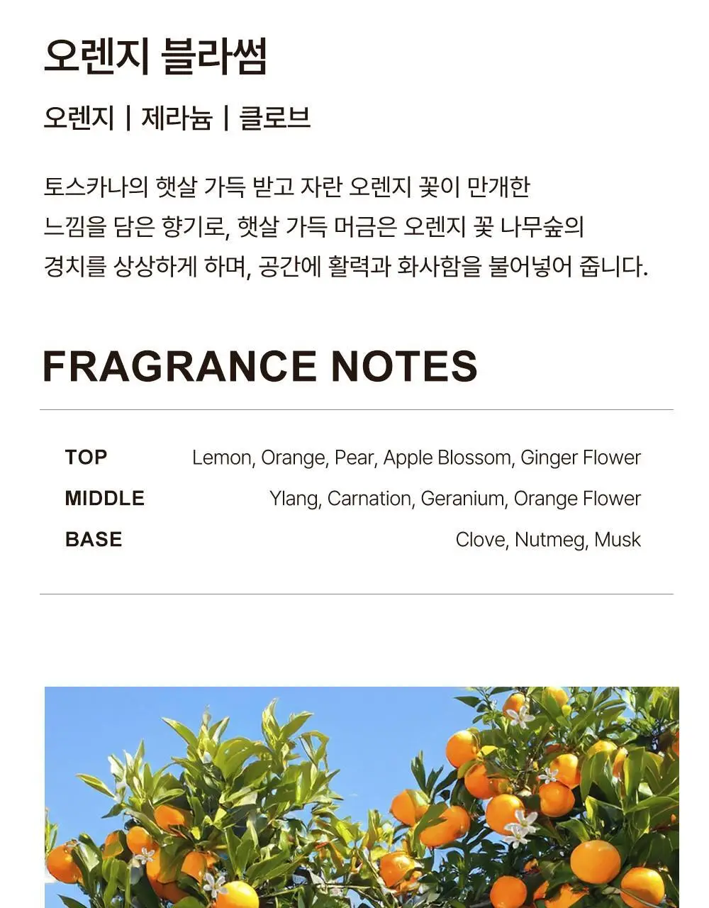 센틀리에 NEW 디퓨저 & 룸스프레이 3종 상세페이지 4