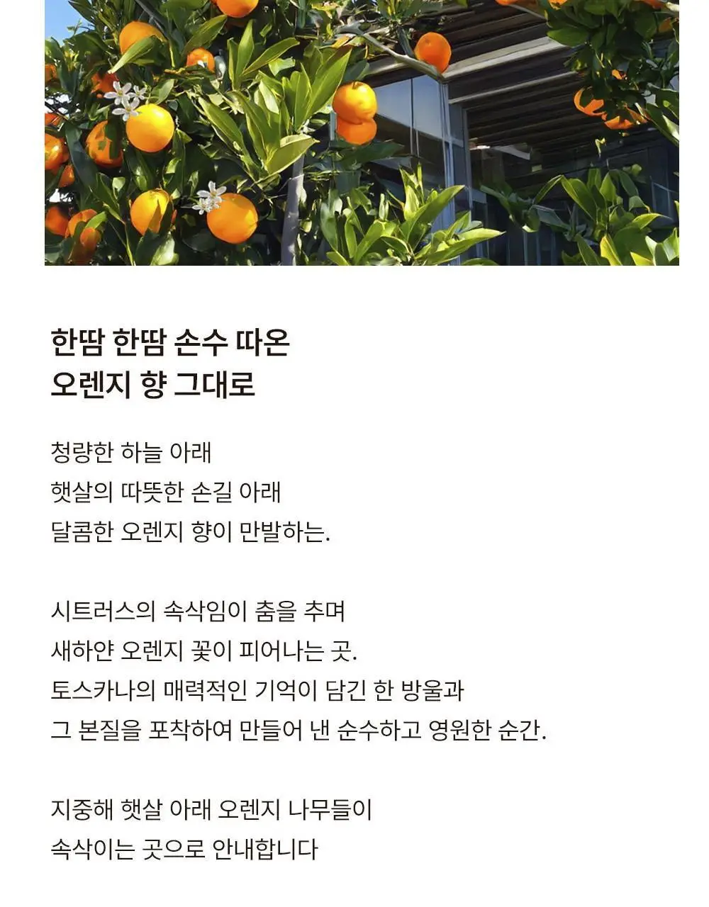 센틀리에 NEW 디퓨저 & 룸스프레이 3종 상세페이지 5