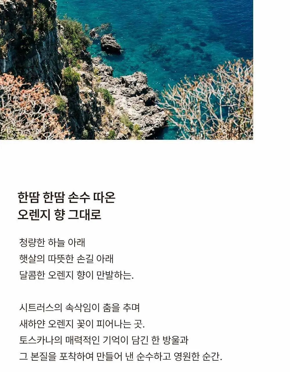 센틀리에 NEW 디퓨저 & 룸스프레이 3종 상세페이지 14