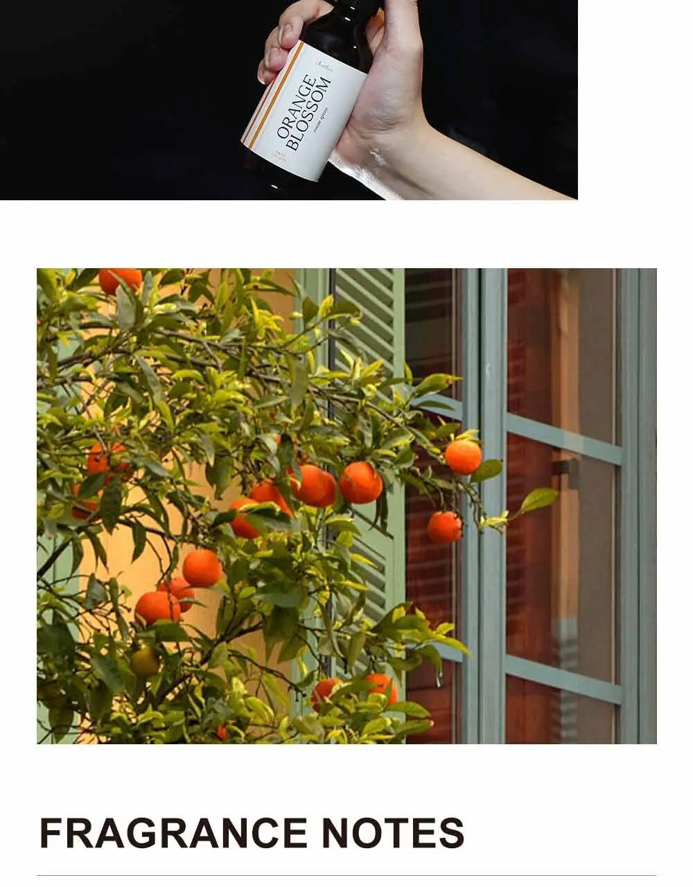 센틀리에 NEW 디퓨저 & 룸스프레이 3종 상세페이지 19