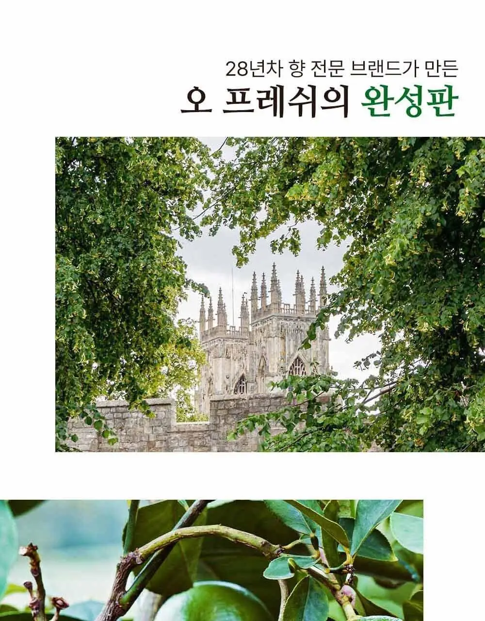 센틀리에 NEW 디퓨저 & 룸스프레이 3종 상세페이지 26