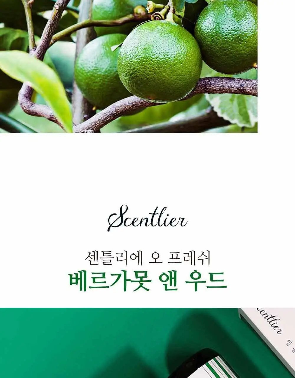 센틀리에 NEW 디퓨저 & 룸스프레이 3종 상세페이지 27