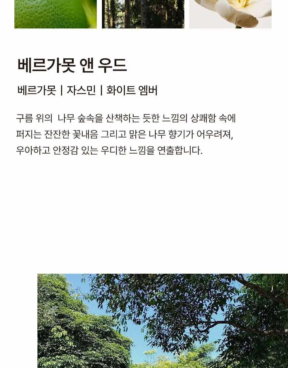 센틀리에 NEW 디퓨저 & 룸스프레이 3종 상세페이지 30