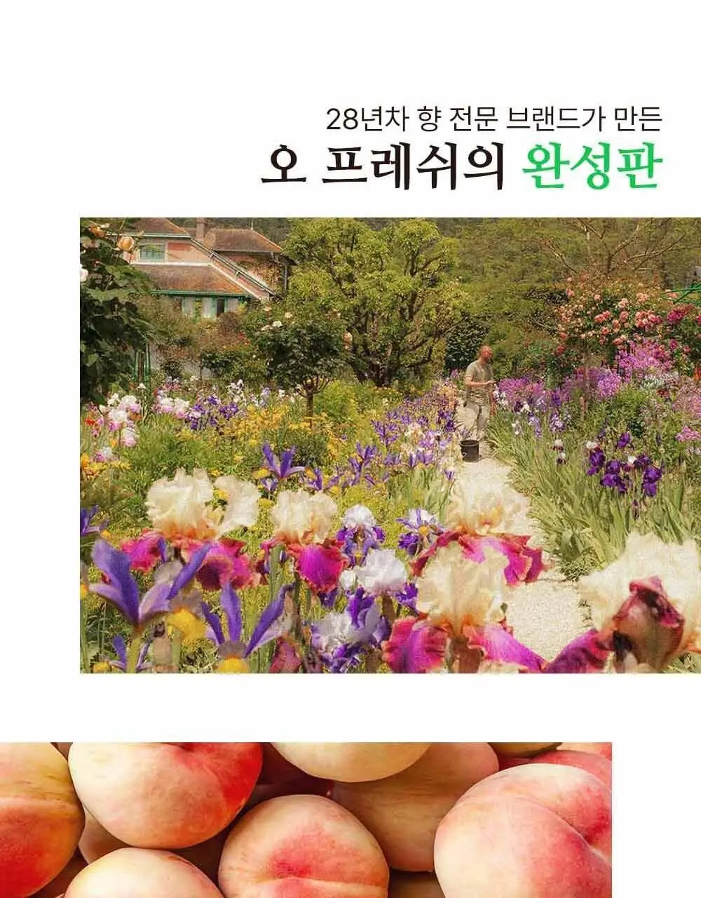 센틀리에 NEW 디퓨저 & 룸스프레이 3종 상세페이지 41