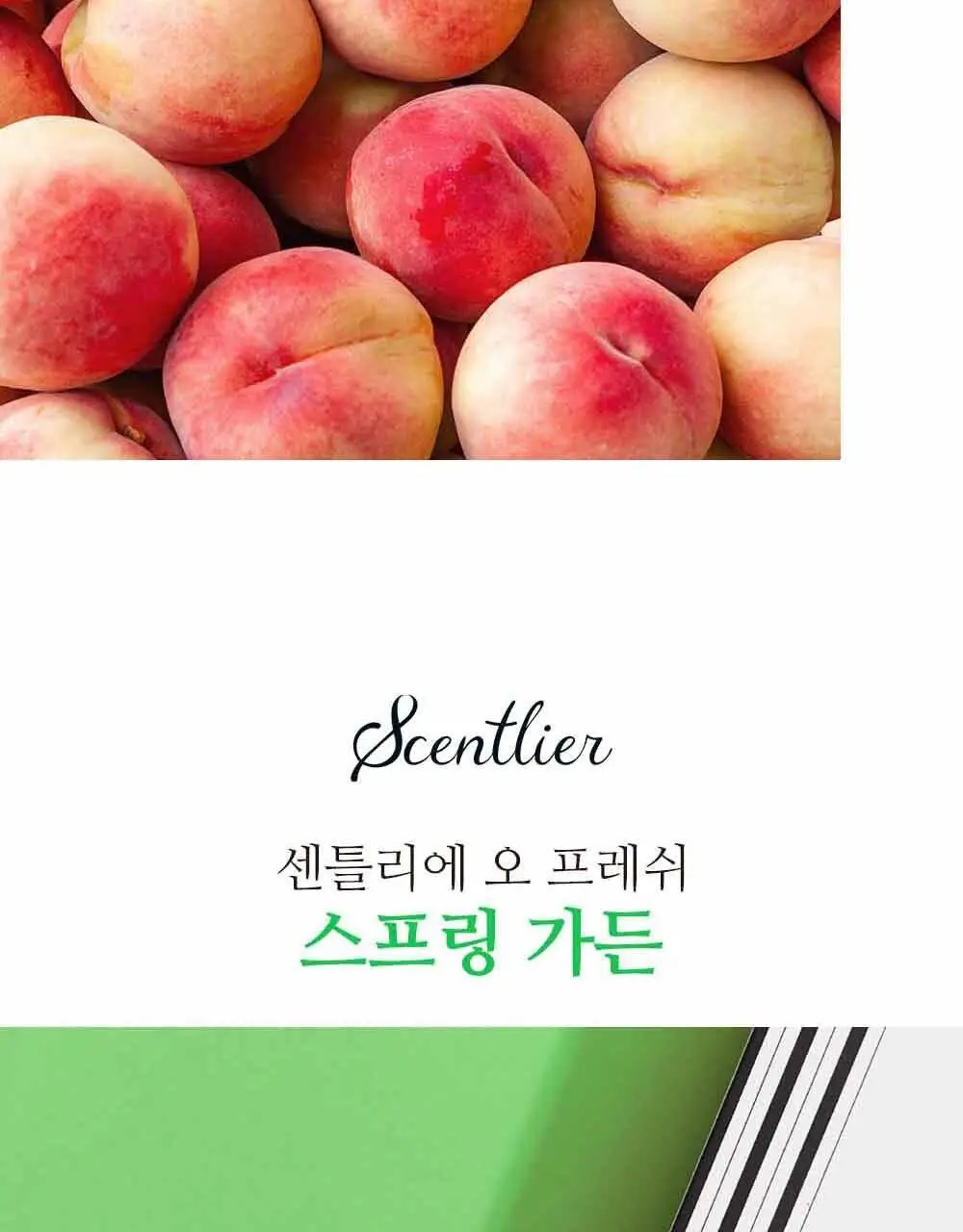 센틀리에 NEW 디퓨저 & 룸스프레이 3종 상세페이지 42