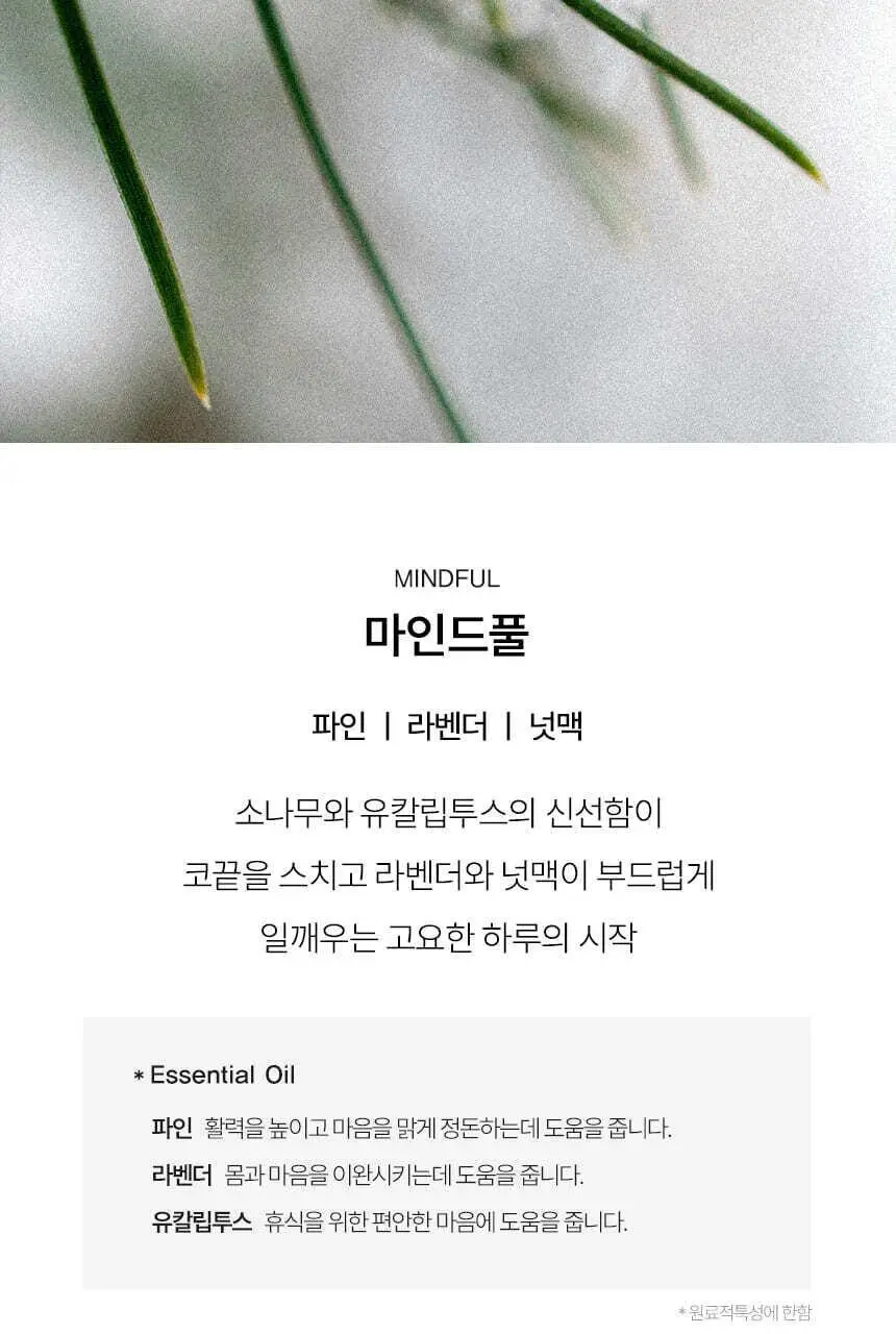 센티카 디퓨저 200ml 2ea 4종 / 리추얼 샤쉐 30g 3종 택1 상세페이지 19