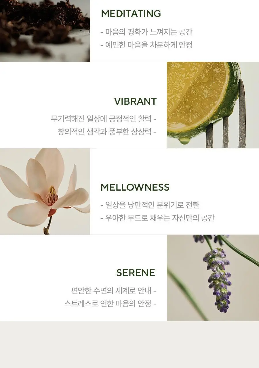 아로마티카 리드 디퓨저 100ml 4종 중 택 1 상세페이지 12