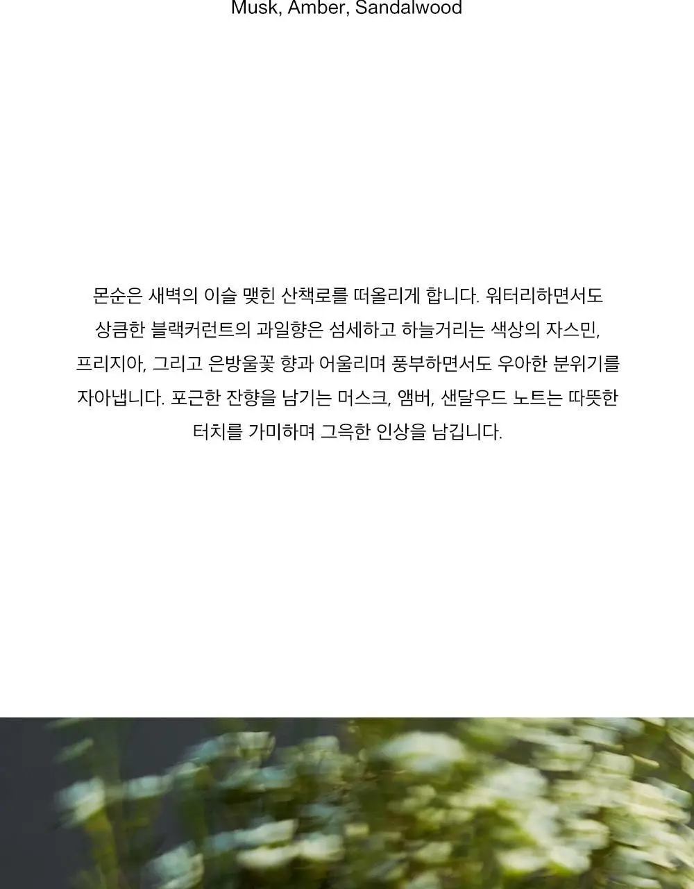 알보우 센티드 오브젝트 캔들 230g 몬순 상세페이지 4