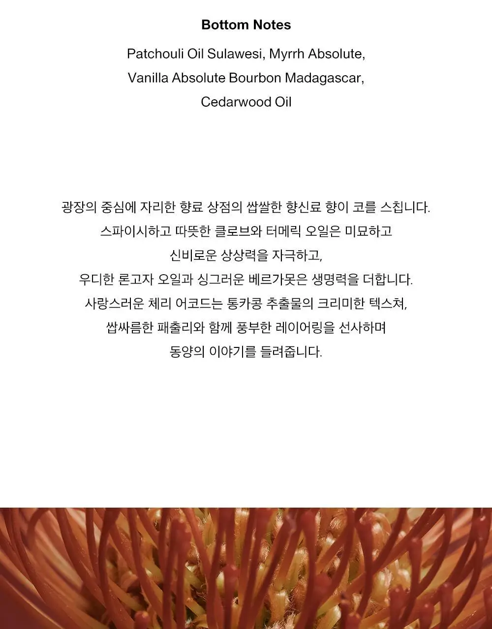 알보우 센티드 오브젝트 캔들 230g 아뜰리에 차이 상세페이지 4