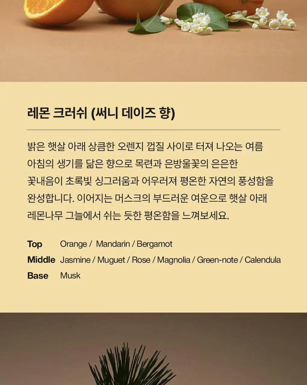 에가톳 드롭 디퓨저 15ml 6종 택 1 상세페이지 14
