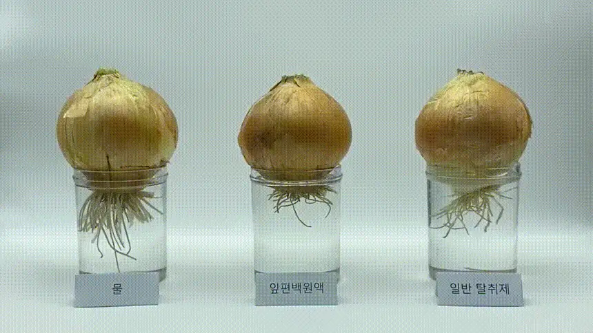 온다숲 공간 탈취제 기프트세트 (맑고맑은탈취제 500ml+무화과사쉐+편백큐브) 상세페이지 16