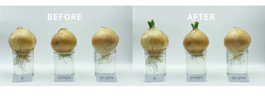 온다숲 공간 탈취제 기프트세트 (맑고맑은탈취제 500ml+무화과사쉐+편백큐브) 상세페이지 17