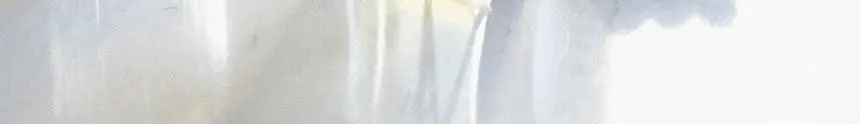 우드윅 시그니처 디퓨저 화이트 티&자스민 100ml 상세페이지 2
