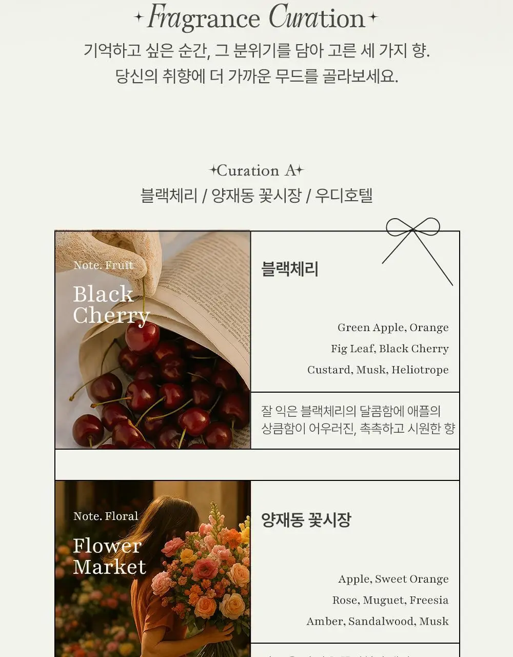 코코도르 디퓨저 시그니처 컬렉션 50ml 3개입 상세페이지 19