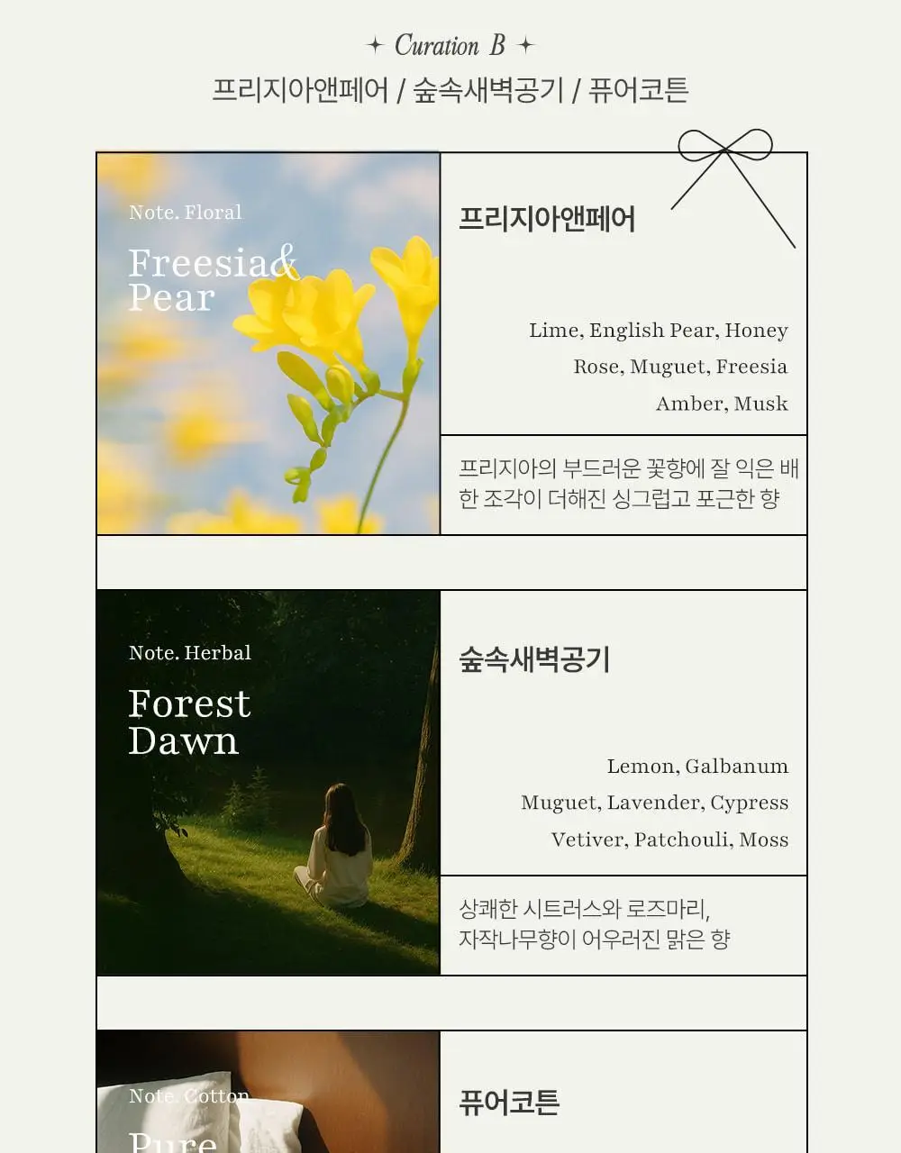 코코도르 디퓨저 시그니처 컬렉션 50ml 3개입 상세페이지 21