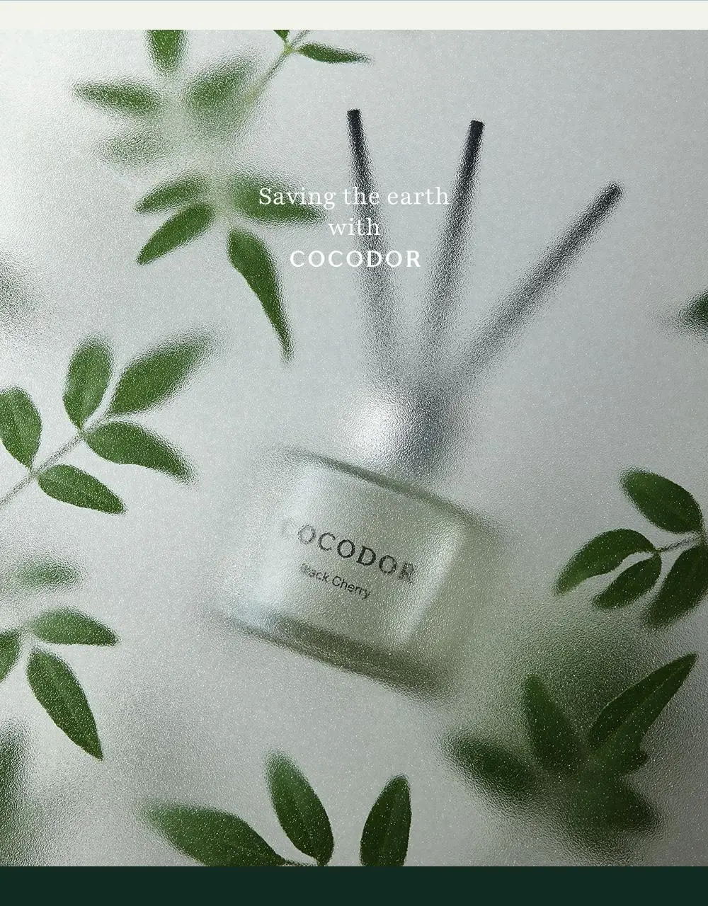 코코도르 디퓨저 시그니처 컬렉션 50ml 3개입 상세페이지 25