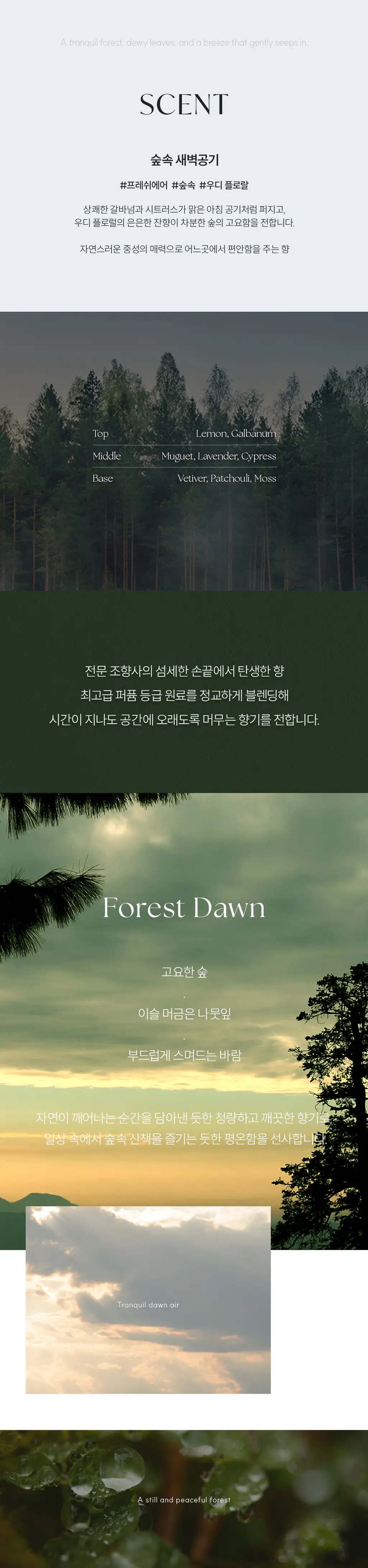 코코도르 디퓨저 200ml 숲속새벽공기 상세페이지 3