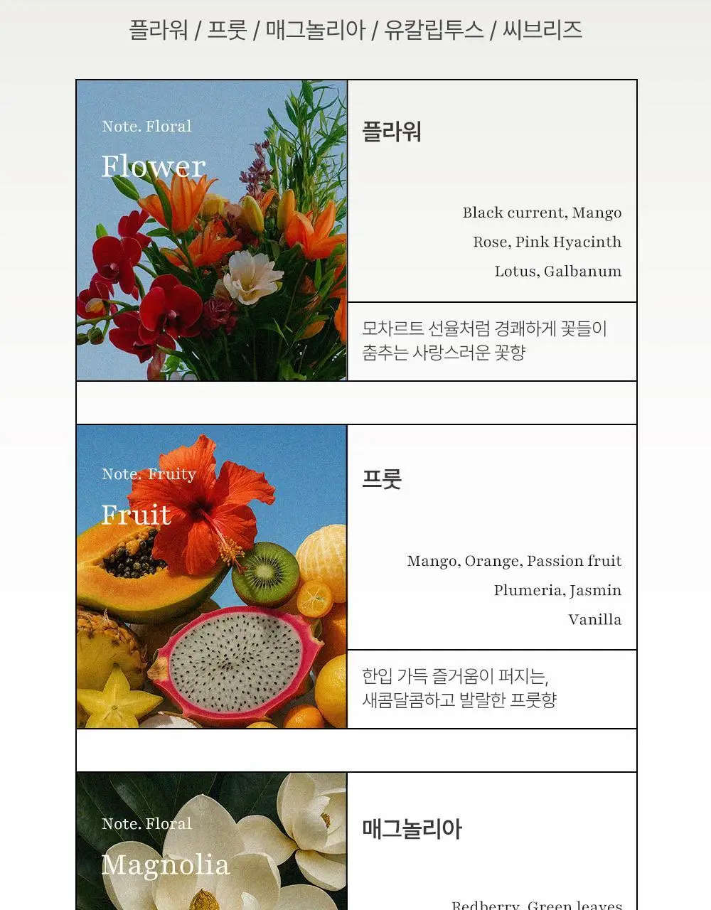 코코도르 솔리드 디퓨저 카드형 11g*3개입 5종 택1 상세페이지 15