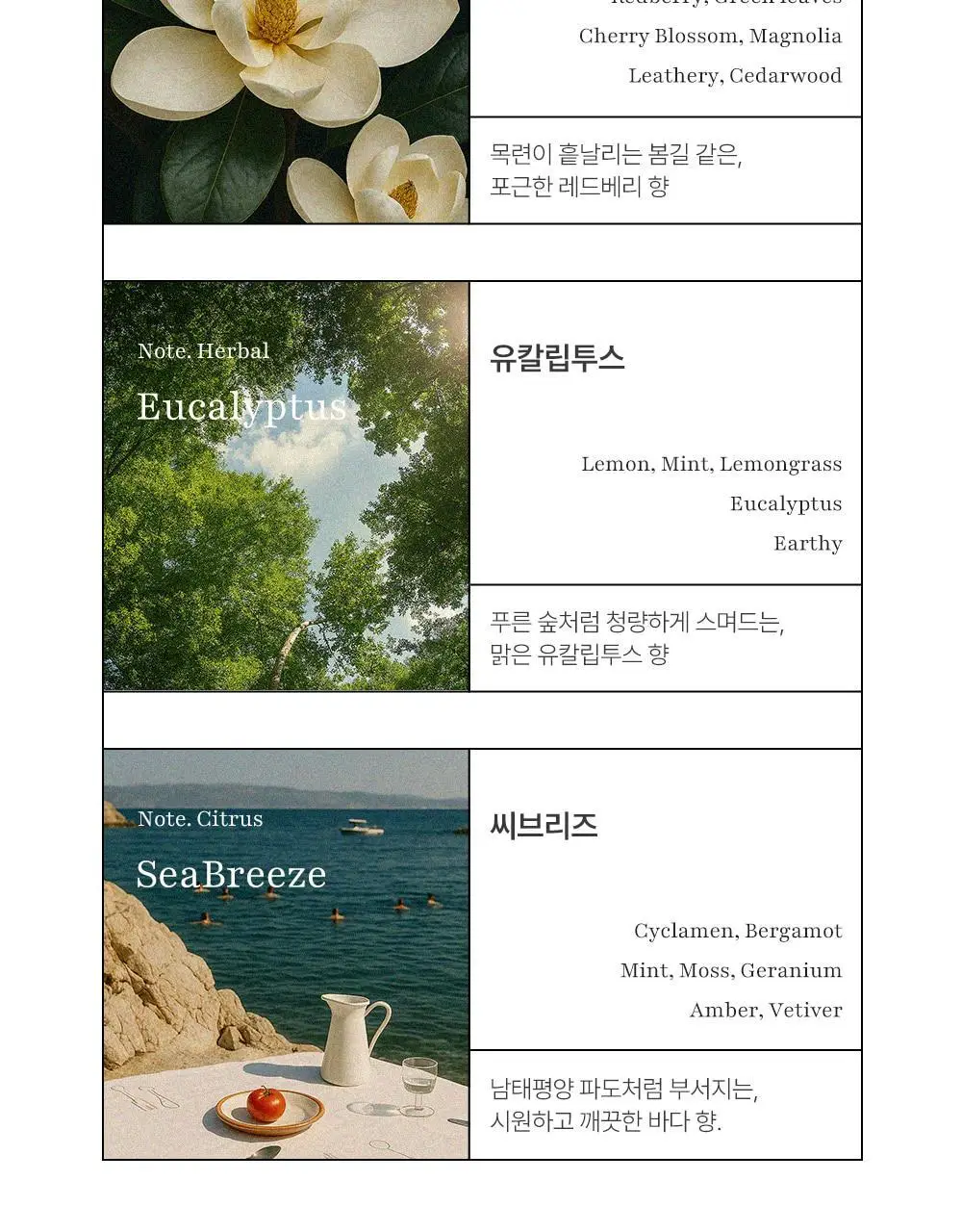 코코도르 솔리드 디퓨저 카드형 11g*3개입 5종 택1 상세페이지 16