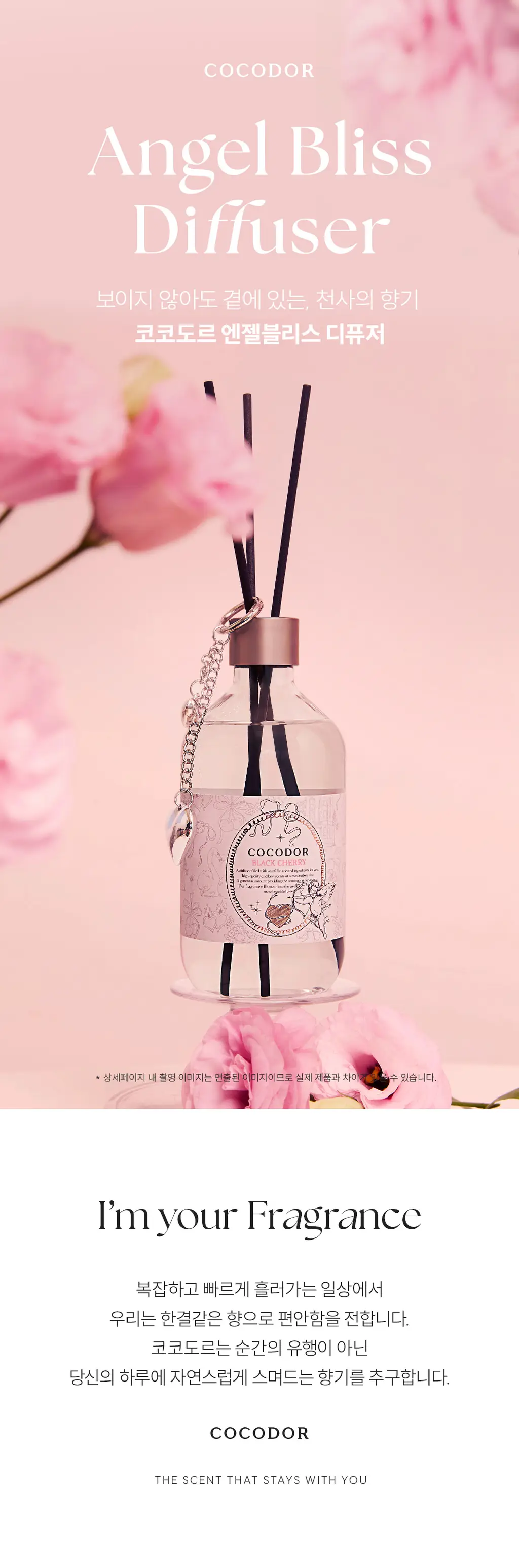 코코도르 엔젤블리스 디퓨저500ml 블랙체리 / 일랑일랑 택 1 상세페이지 4