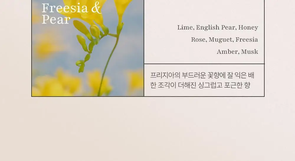 코코도르 프리미엄 디퓨저 500ml 3종 택1 상세페이지 15