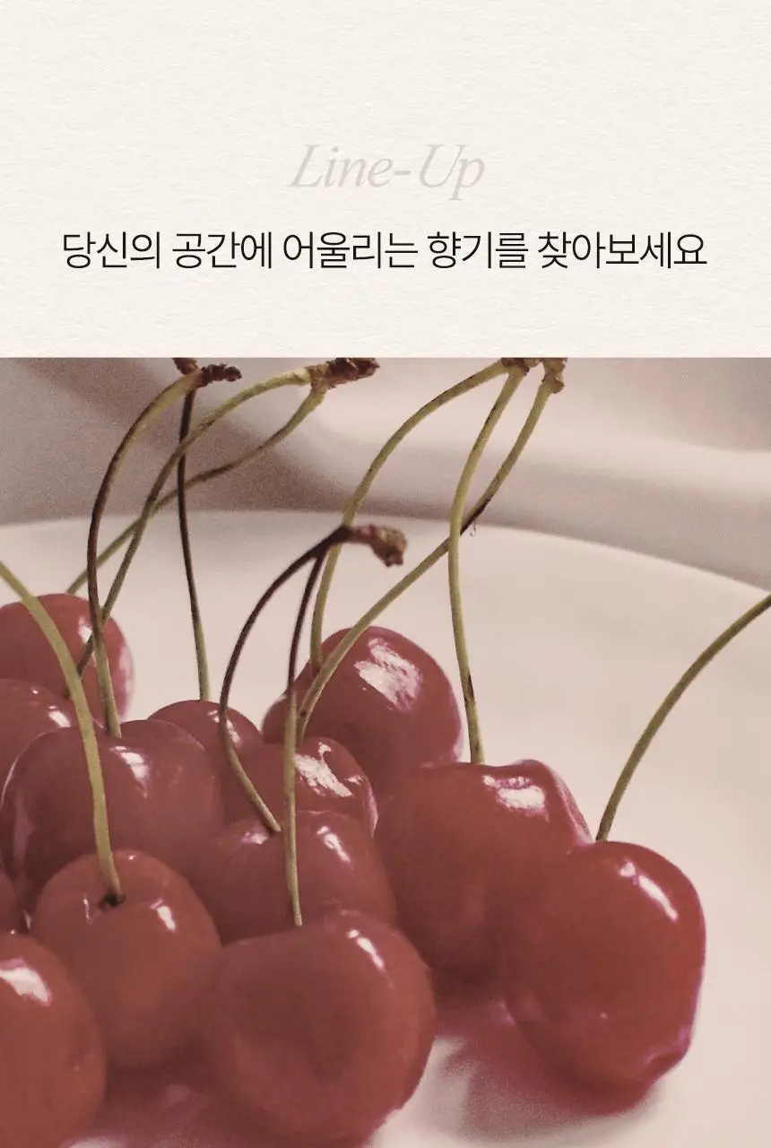 쿤달 퍼퓸 디퓨저 리필 500ml 2구 세트 3종 택 1 상세페이지 12