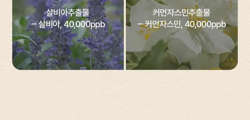 쿤달 퍼퓸 디퓨저 리필 500ml 2구 세트 3종 택 1 상세페이지 23