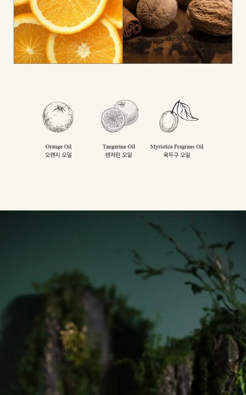 탄 아로마틱 우드 에센셜 오일 10ml 상세페이지 24