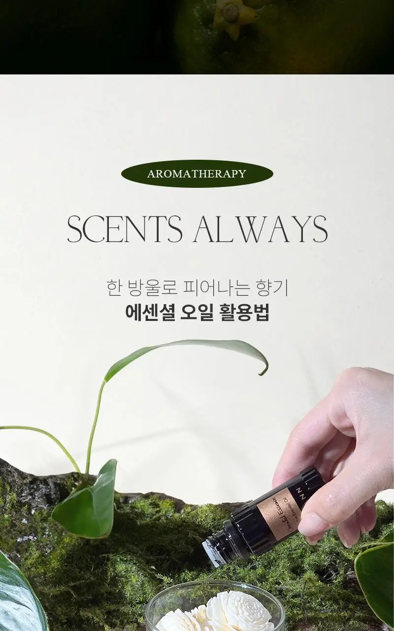 탄 오리엔탈 에센스 에센셜오일 10ml 상세페이지 7