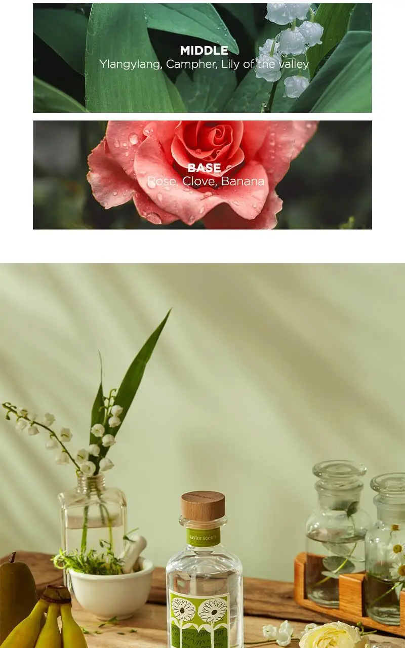 테일러센츠 비건 디퓨저 150ml 2종 택1 (샌달우드모스/일랑일랑허브) 상세페이지 10