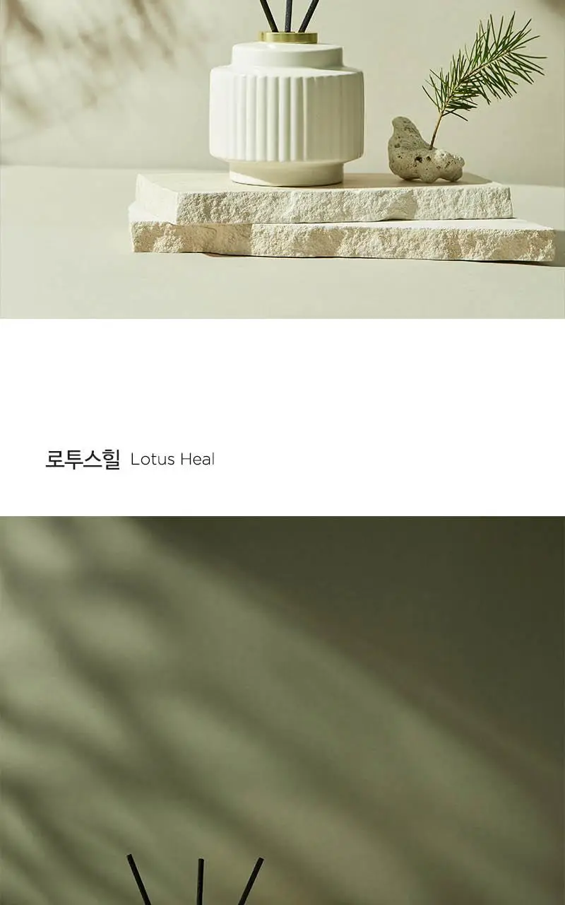 테일러센츠 카빙디퓨저 300ml 2종 택1 (가든브리즈/로투스 힐) 상세페이지 7