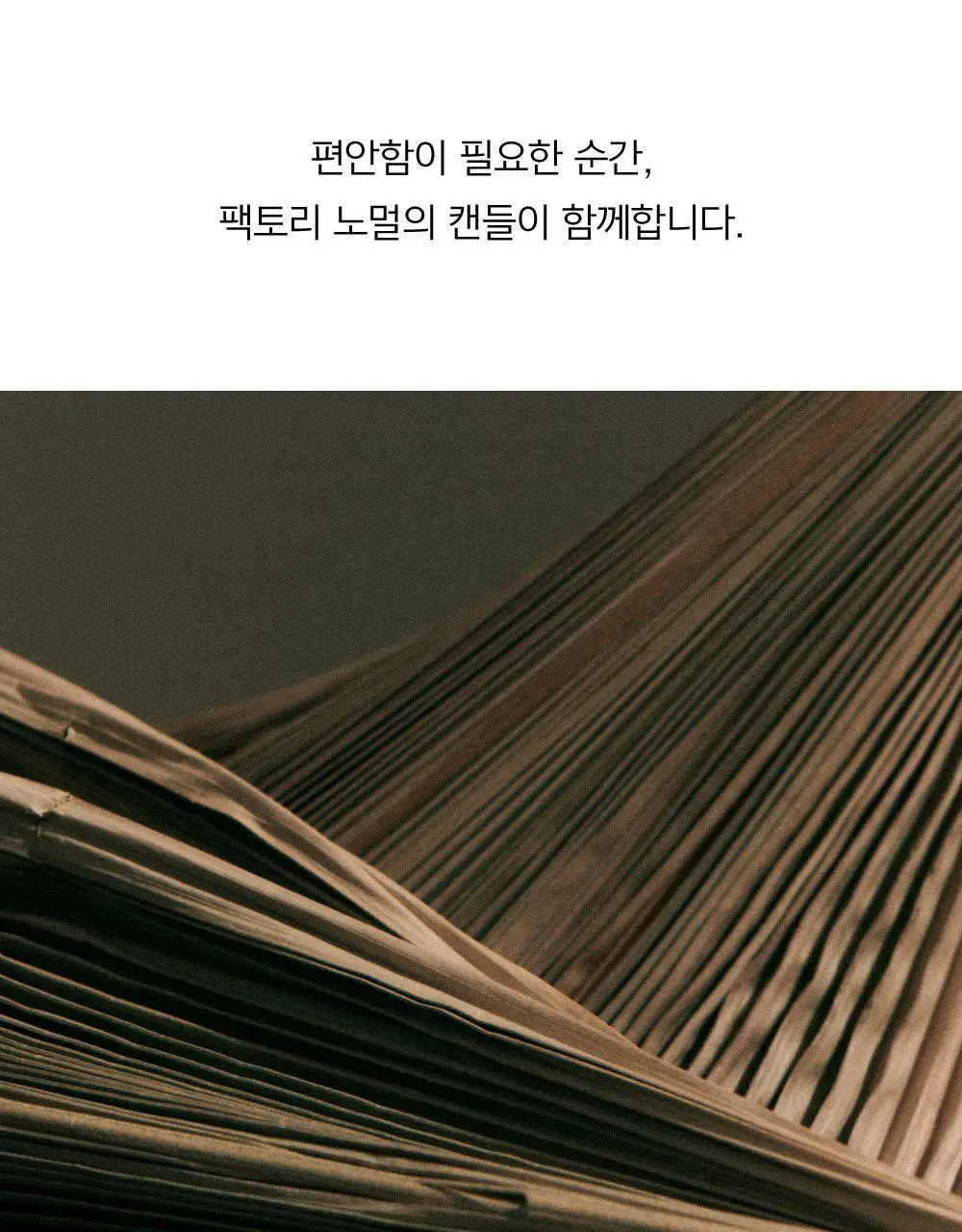 팩토리노멀 갈색병 우드심지 소이캔들 210g 6종 택1 상세페이지 3