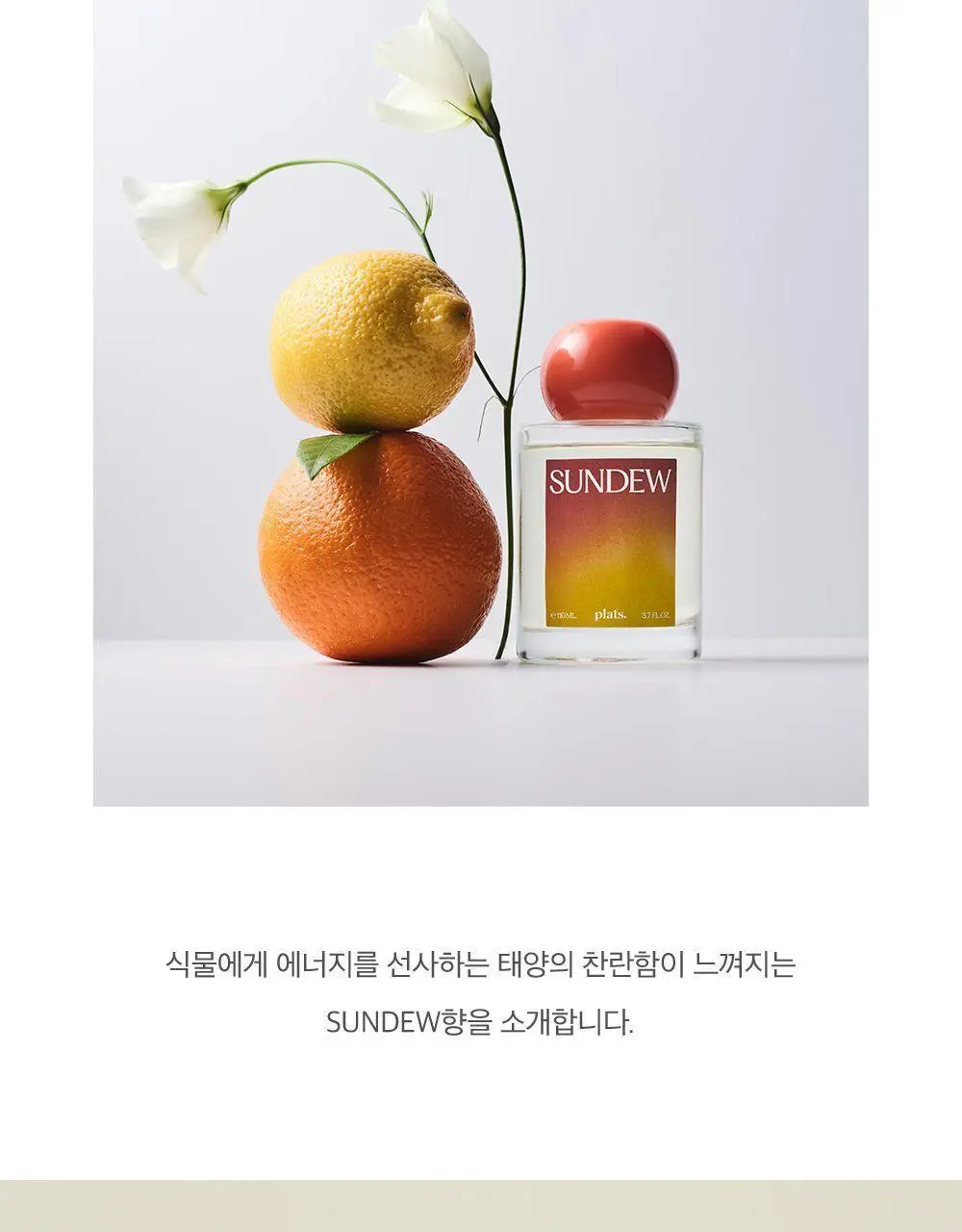 플랫츠 디퓨저 110ml 썬듀 상세페이지 5