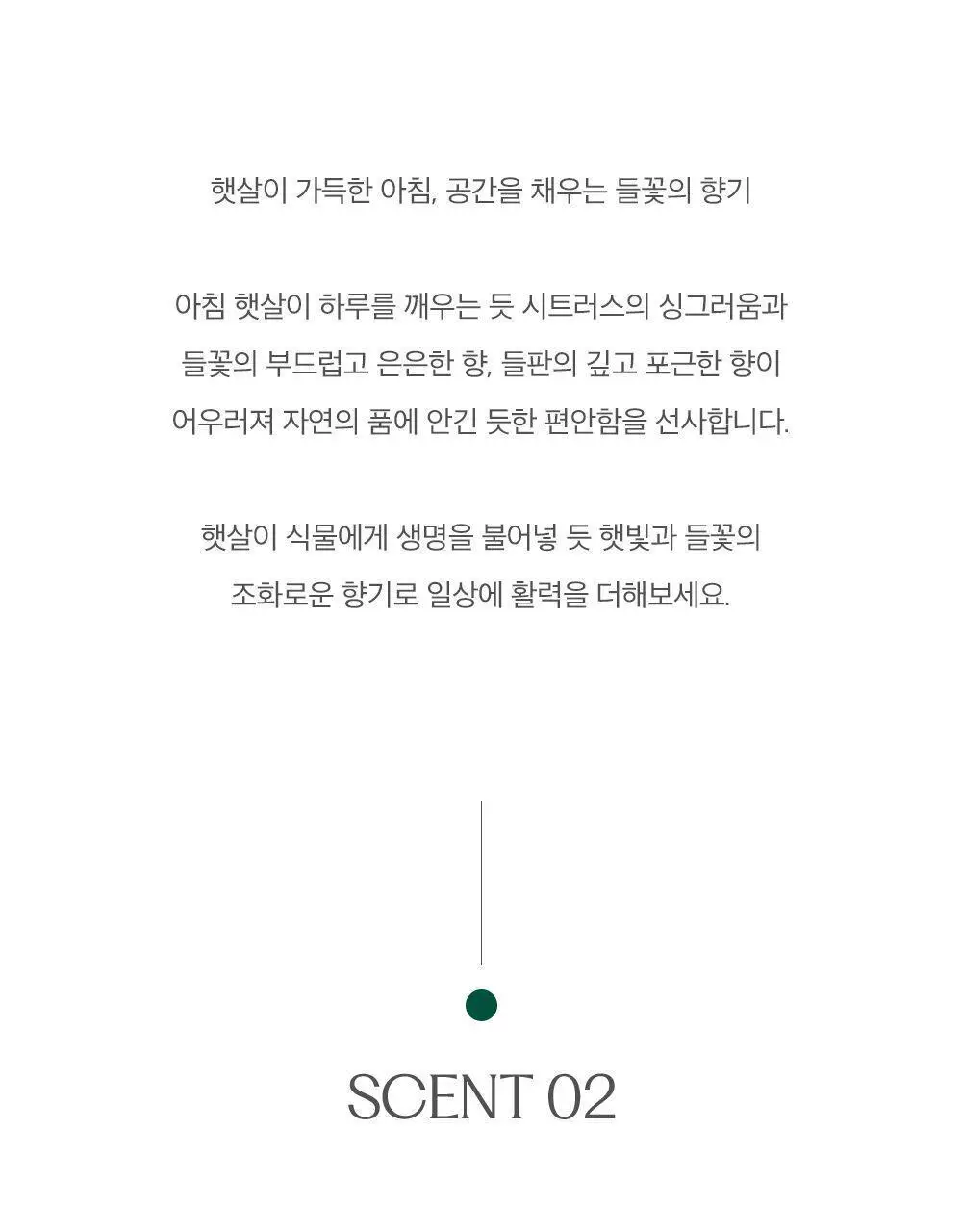플랫츠 디퓨저 110ml 썬듀 상세페이지 9