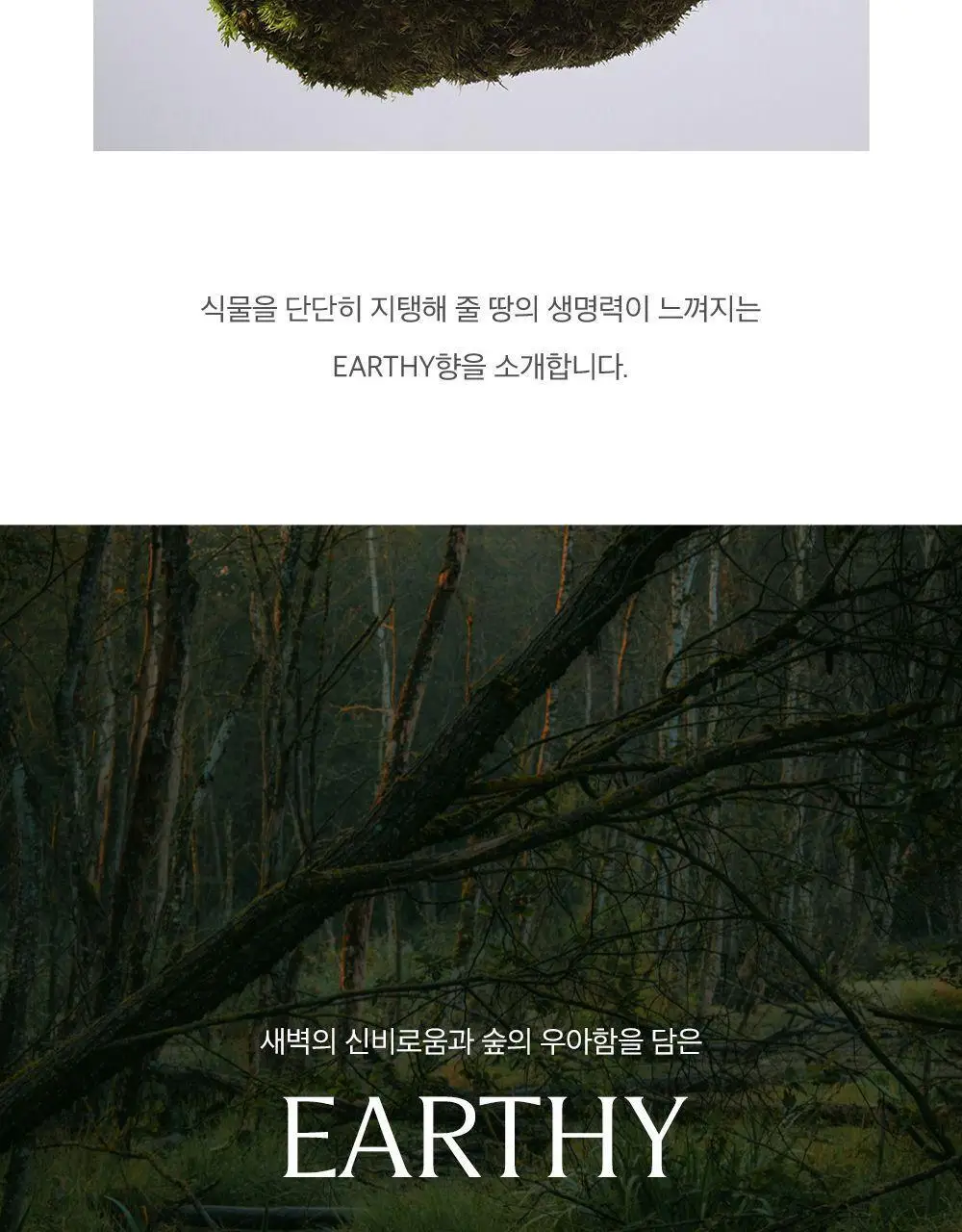 플랫츠 디퓨저 110ml 썬듀 상세페이지 11