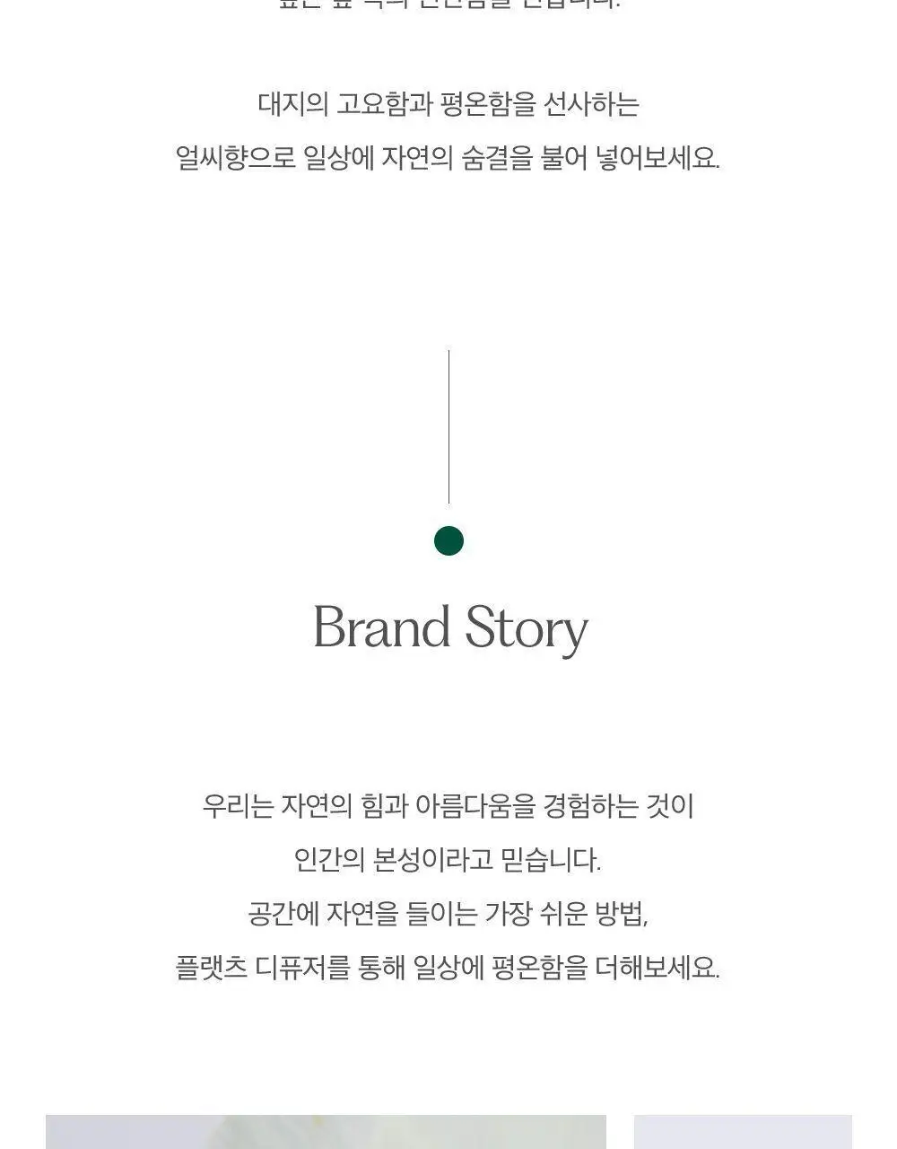 플랫츠 디퓨저 110ml 썬듀 상세페이지 15