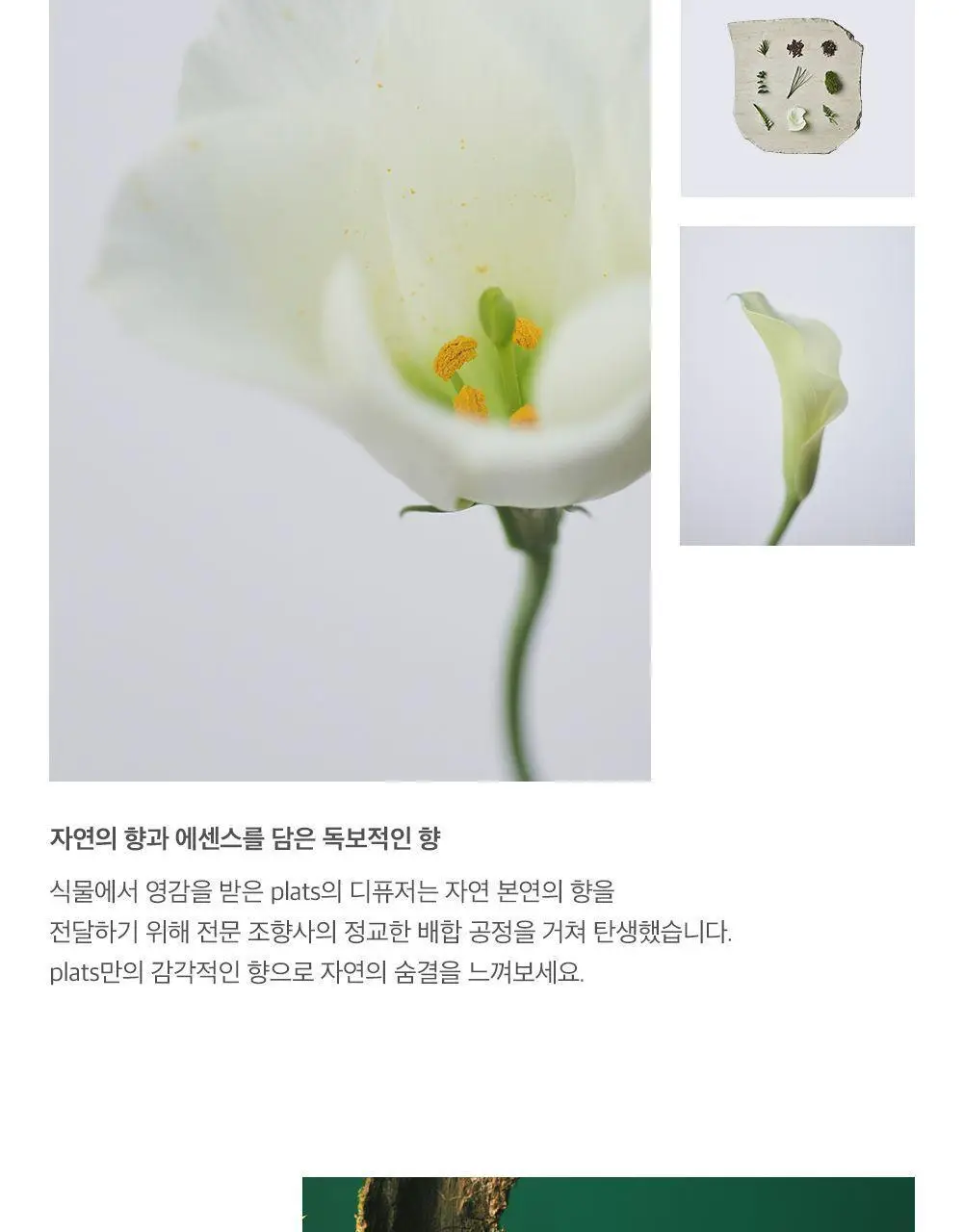 플랫츠 디퓨저 110ml 썬듀 상세페이지 16