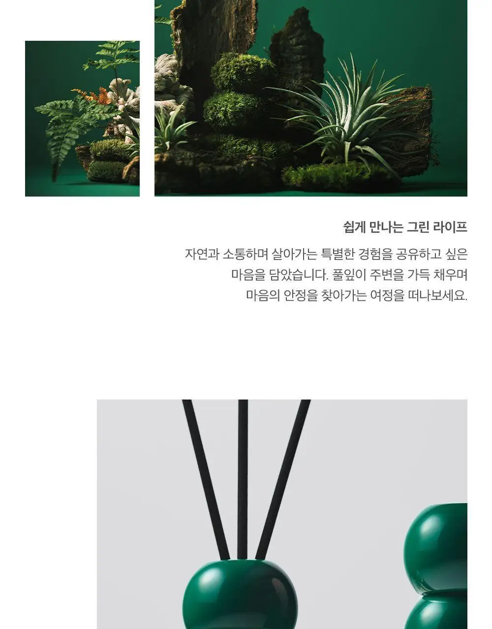 플랫츠 디퓨저 110ml 썬듀 상세페이지 17
