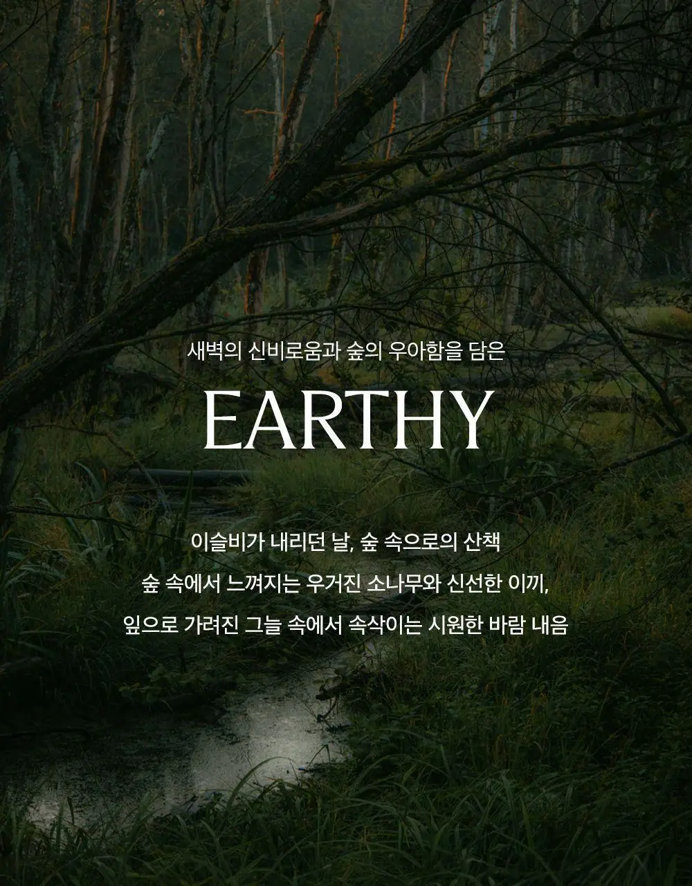 플랫츠 디퓨저 110ml 얼씨 상세페이지 6