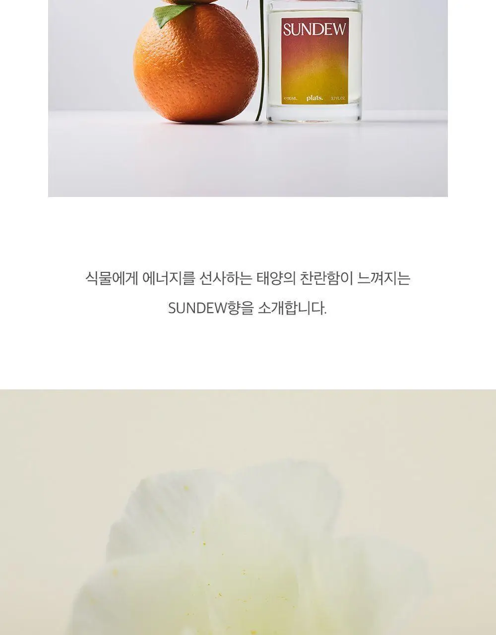 플랫츠 디퓨저 110ml 얼씨 상세페이지 11