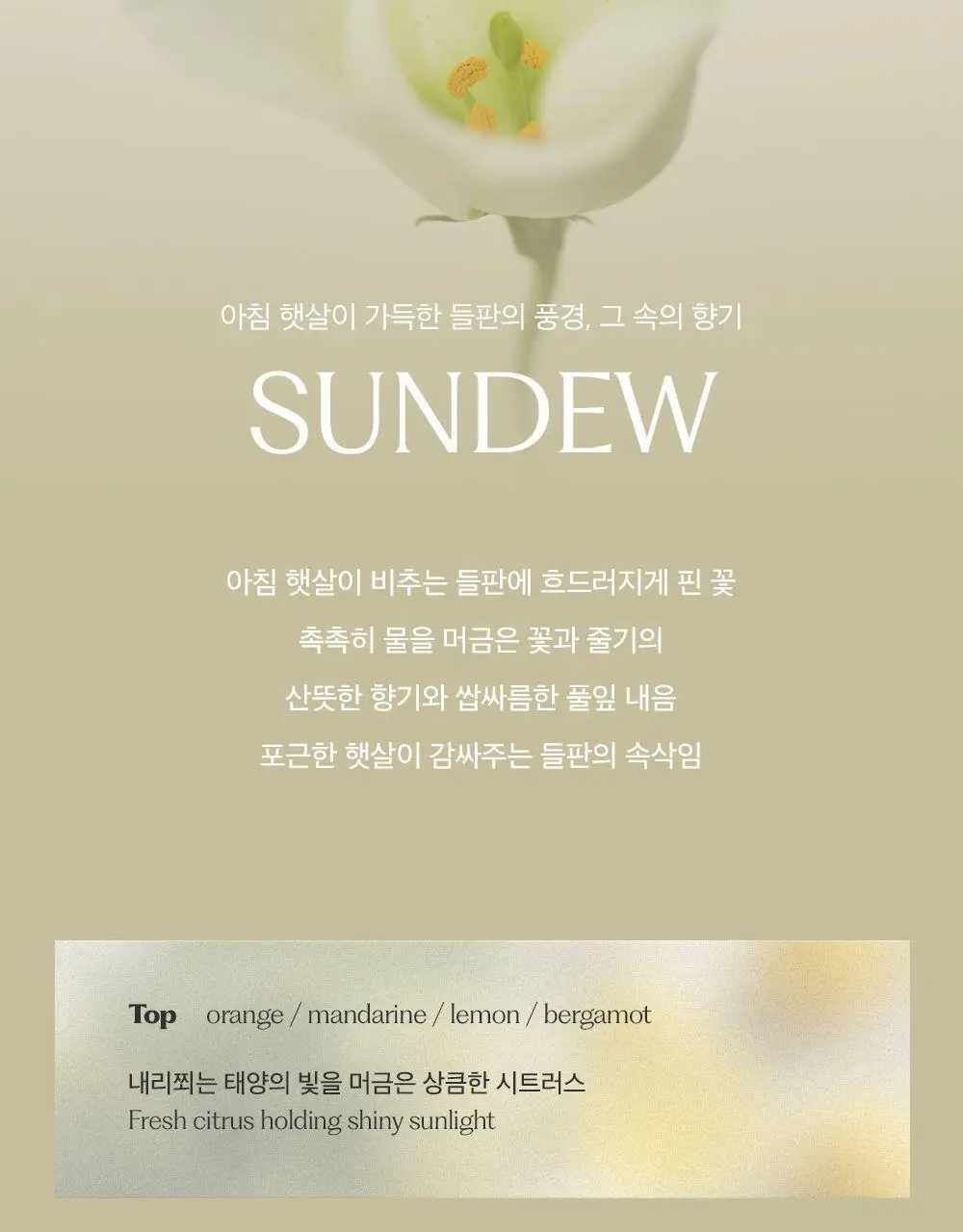 플랫츠 디퓨저 110ml 얼씨 상세페이지 12