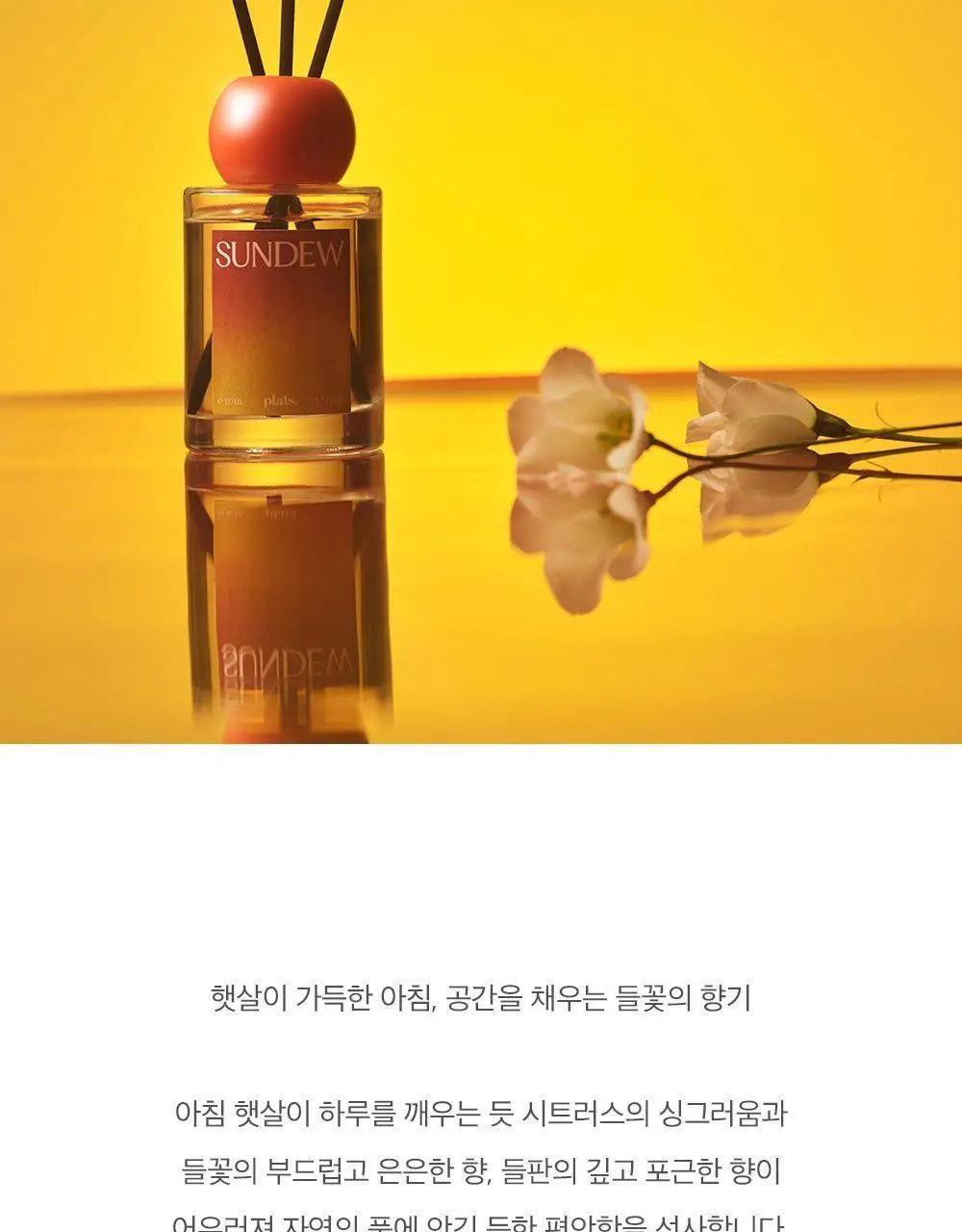 플랫츠 디퓨저 110ml 얼씨 상세페이지 14