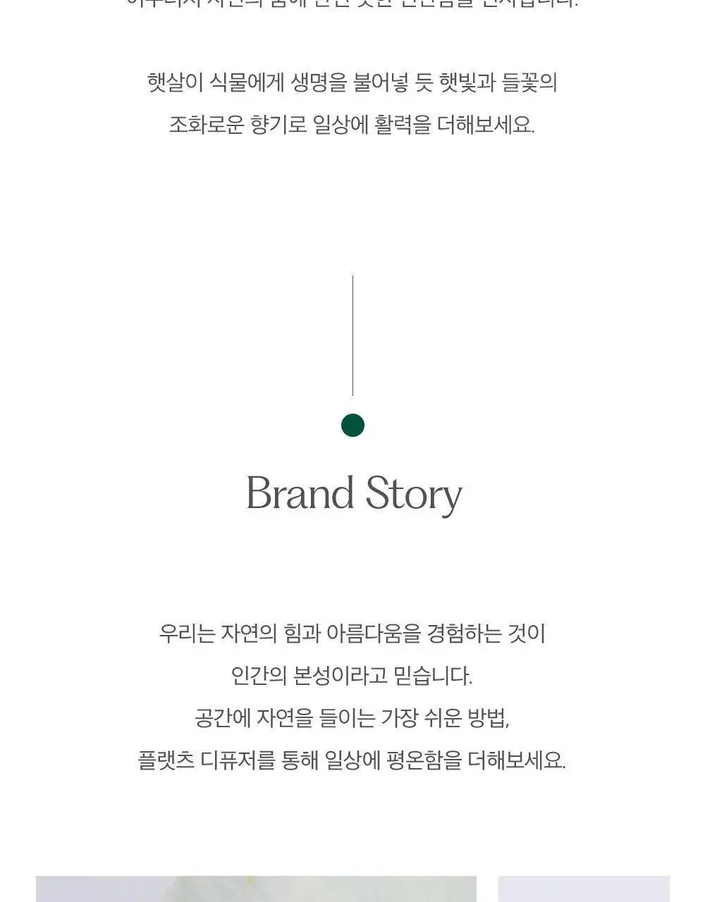플랫츠 디퓨저 110ml 얼씨 상세페이지 15