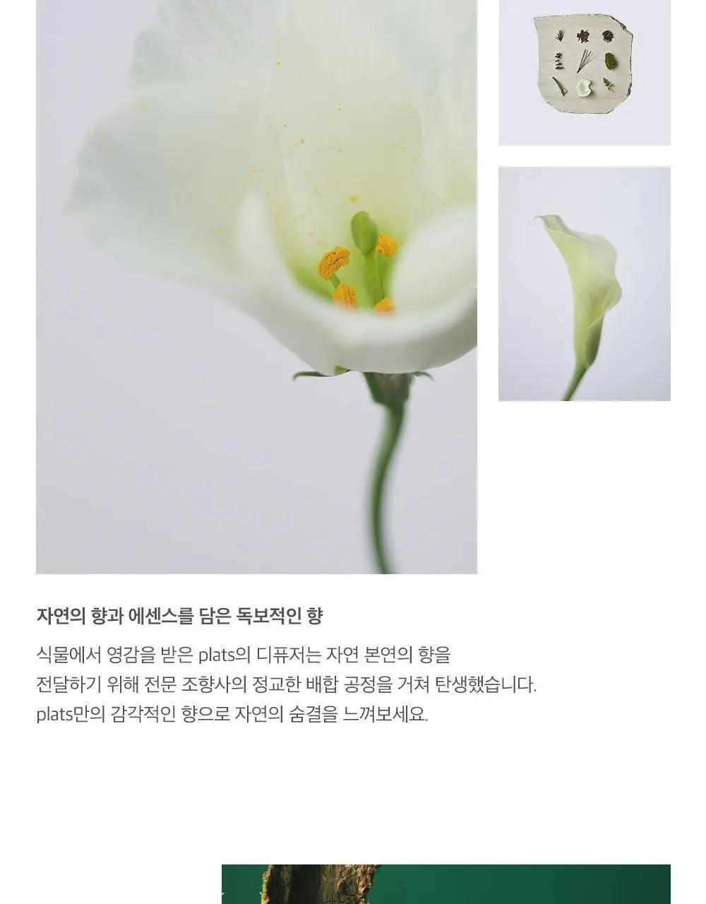 플랫츠 디퓨저 110ml 얼씨 상세페이지 16