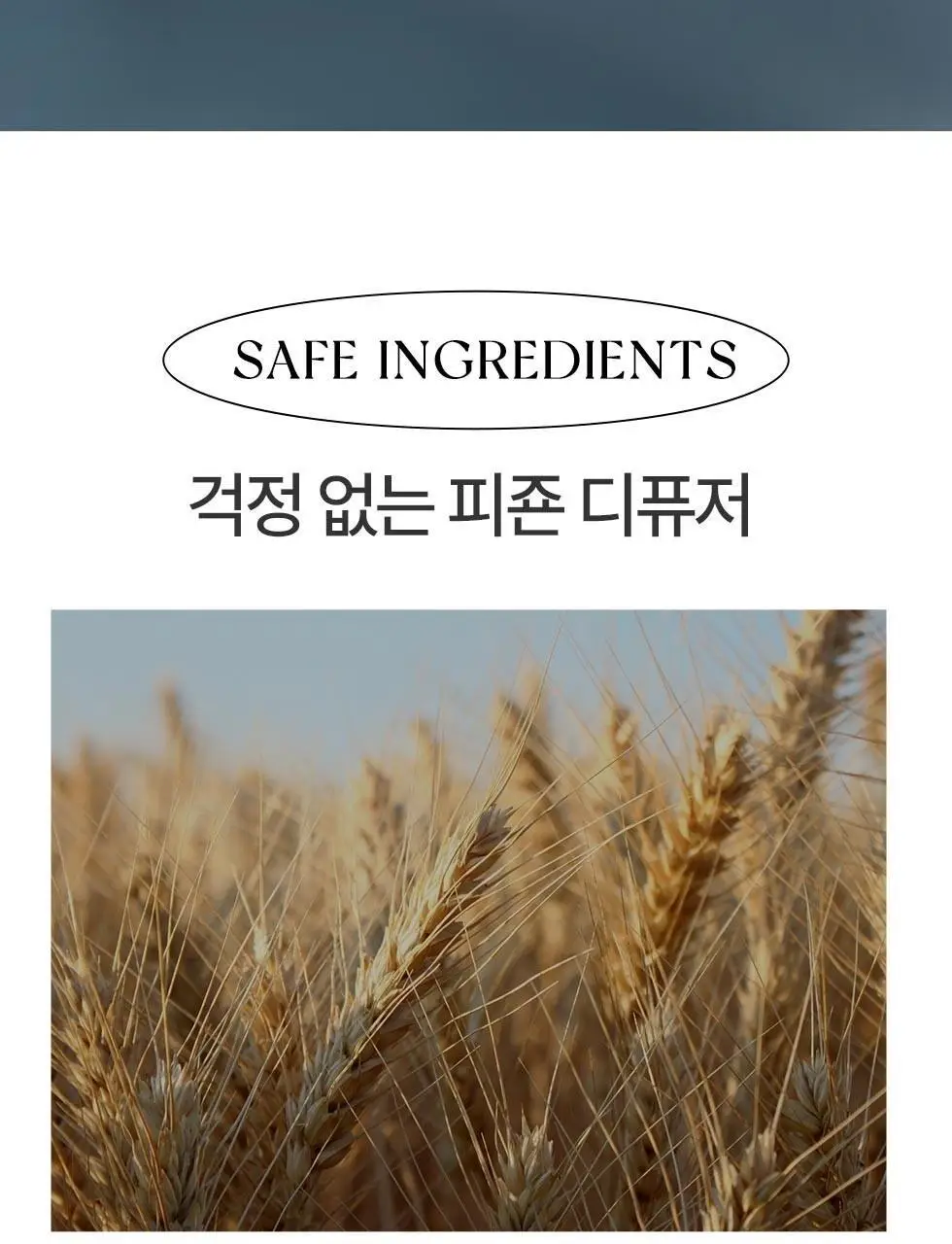 피죤 디퓨저 200ml 2개입 옐로미모사 상세페이지 6