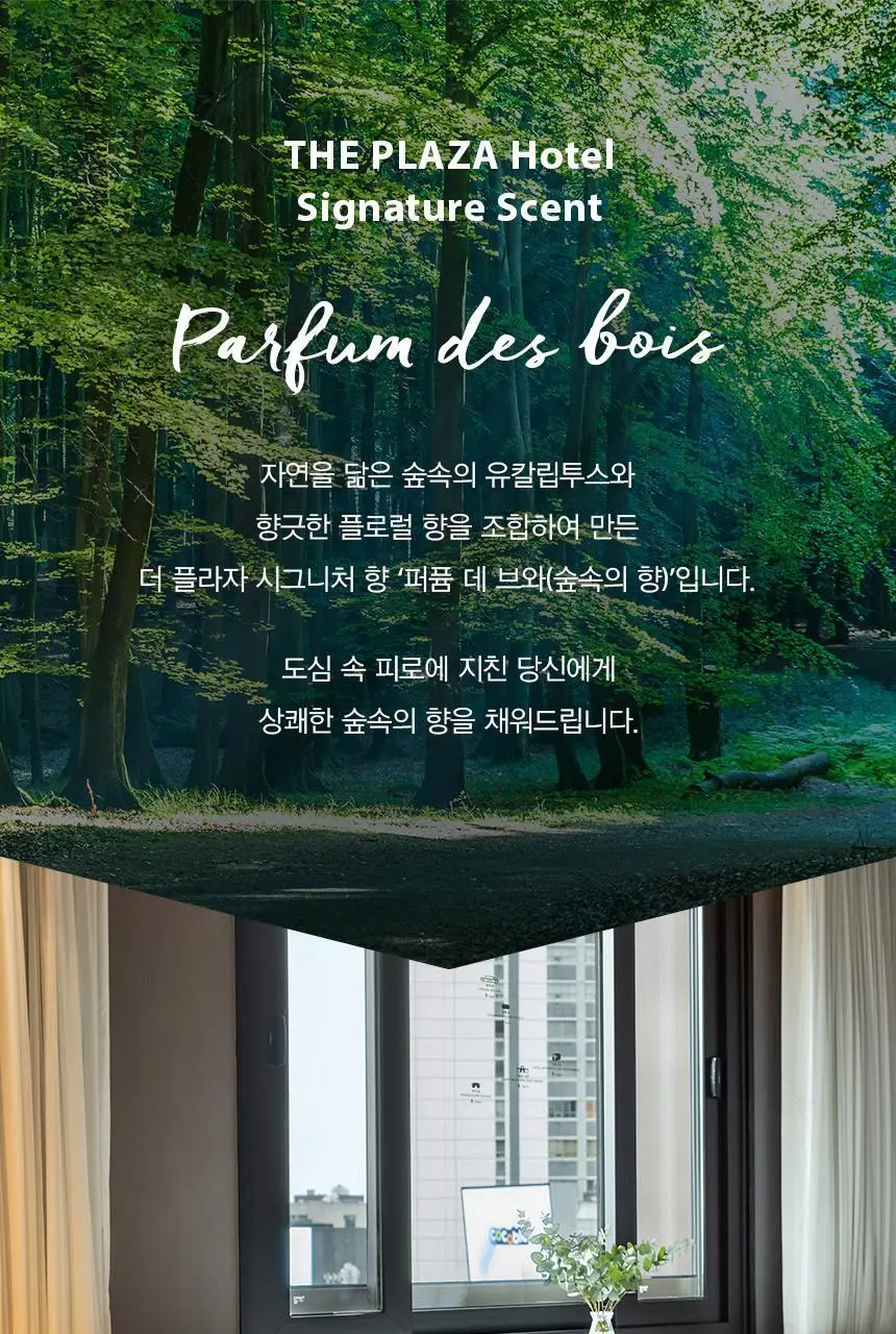 P Collection 더 플라자 호텔 디퓨저 100ml 상세페이지 4