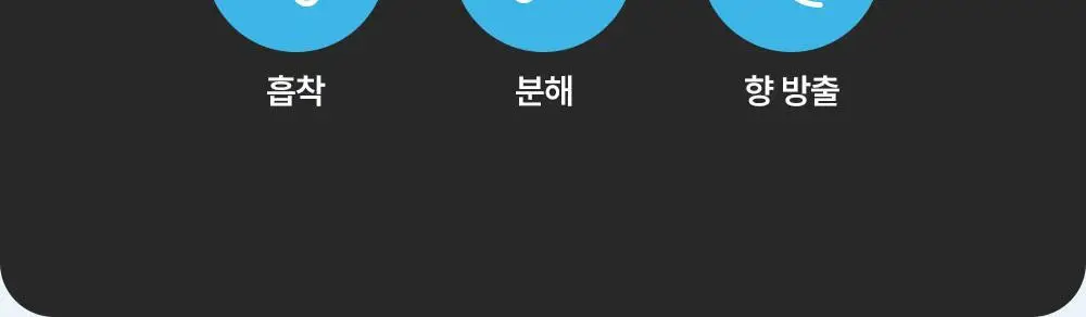 내셔널지오그래픽 탈취방향제 8종 옵션선택 상세페이지 27